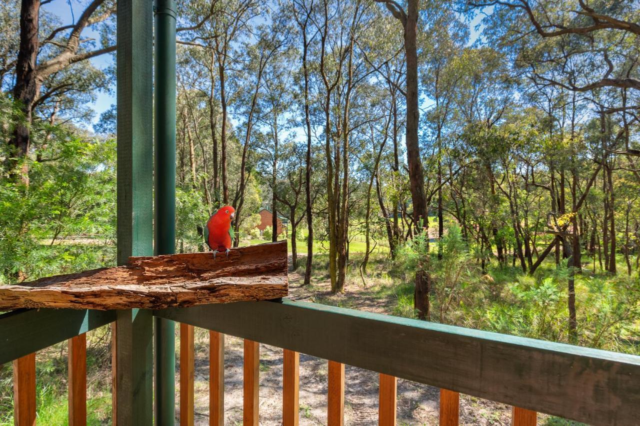 Cockatoo Cottages Exterior photo
